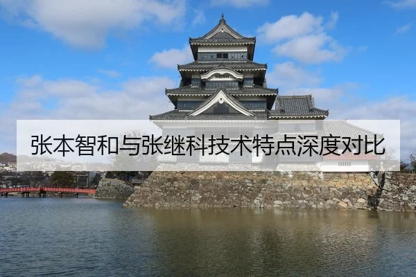 张本智和与张继科技术特点深度对比